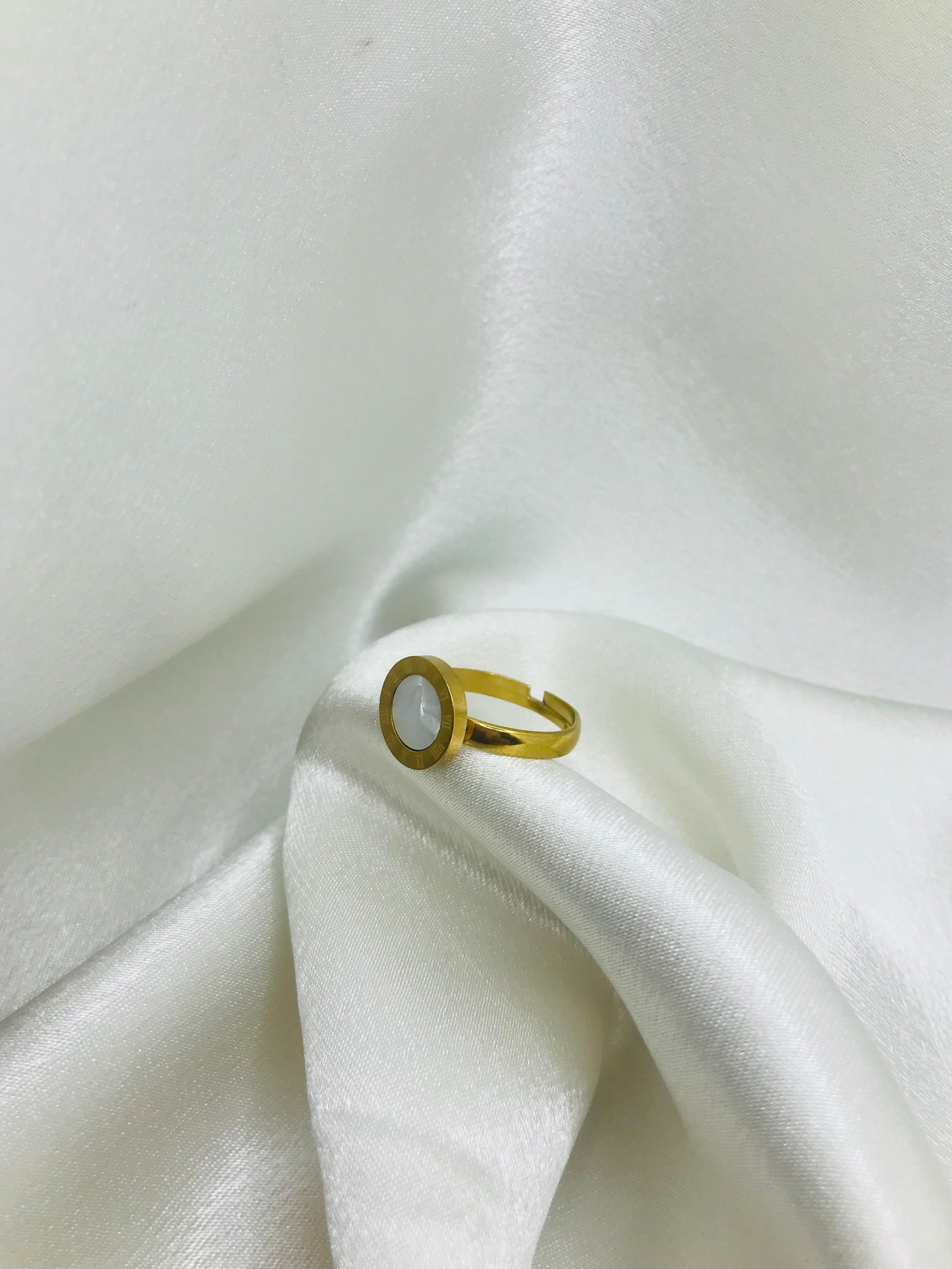 Roman Geometrical Stainless Rings