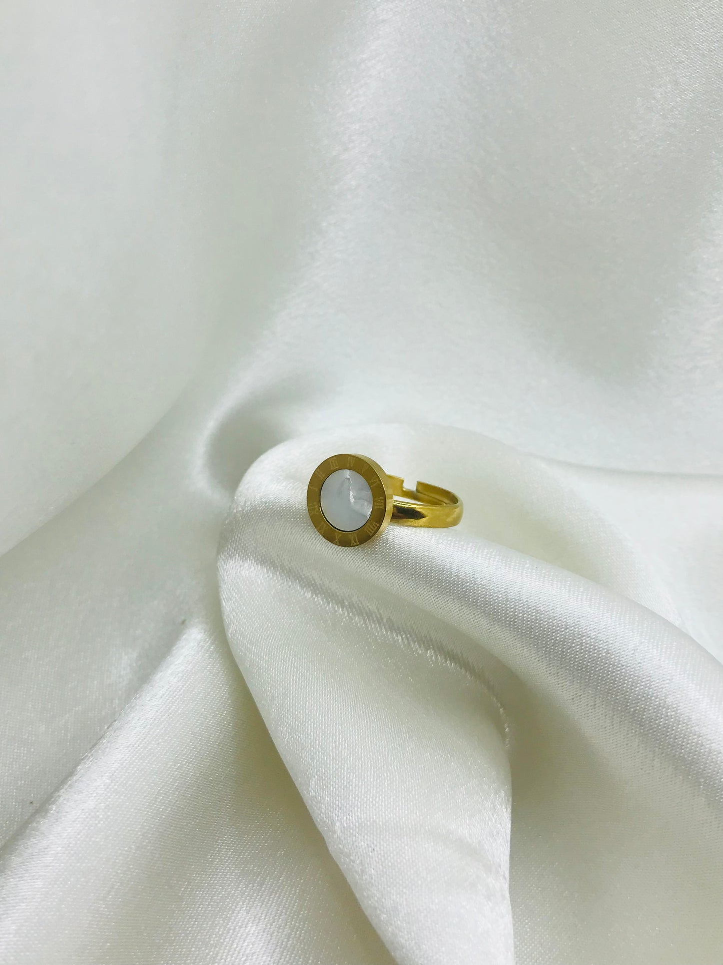 Roman Geometrical Stainless Rings