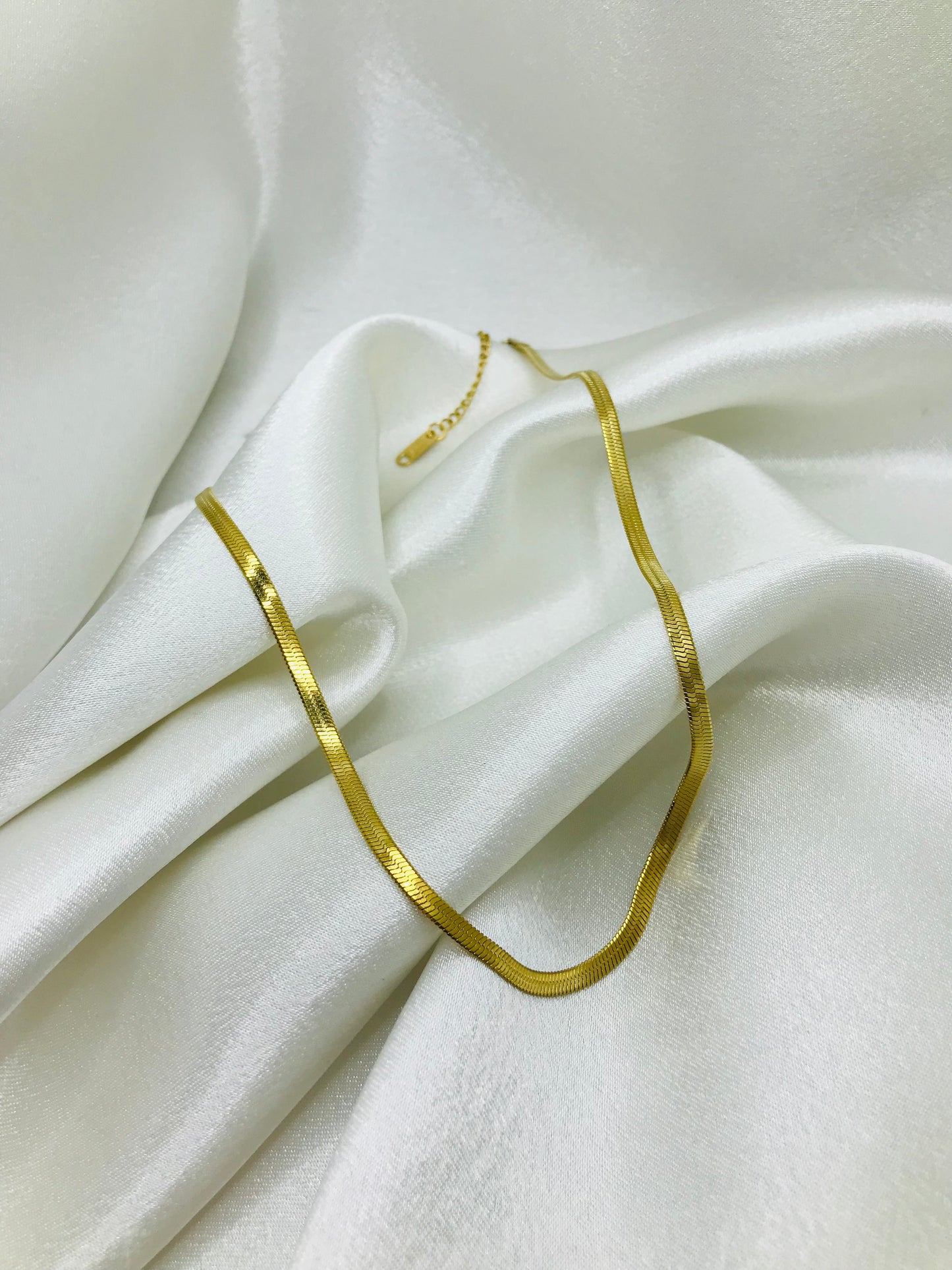 Gold Snack Chain Jewelry Set