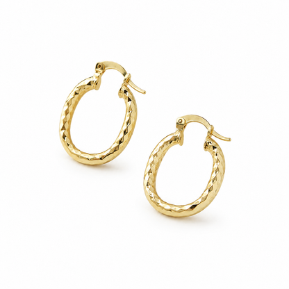 Oval Gold Hoop Earrings